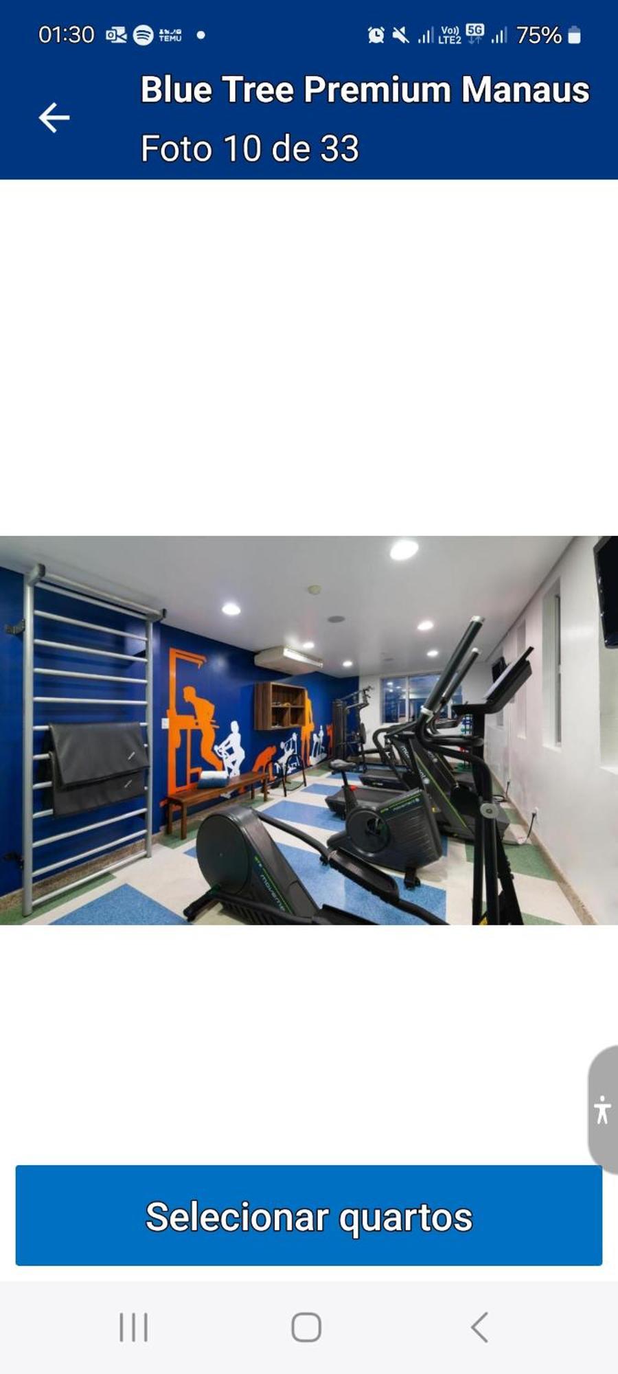 אפרטהוטל Bluee Tree Premium מנאוס מראה חיצוני תמונה